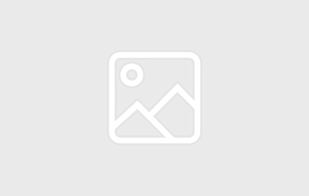 什么花在春節前后開