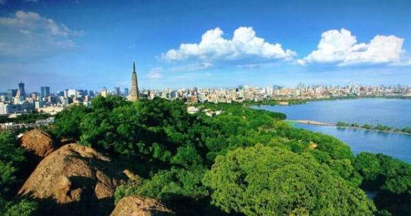 學習國外苗木行業經驗，搶先了解國內市場動態