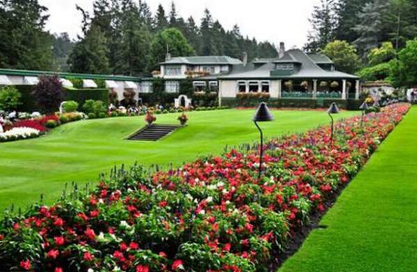 學習國外苗木行業經驗，搶先了解國內市場動態